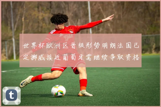 世界杯欧洲区晋级形势明朗法国已定挪威接近葡萄牙需继续争取资格