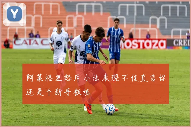 阿莱格里怒斥小法表现不佳直言你还是个新手教练