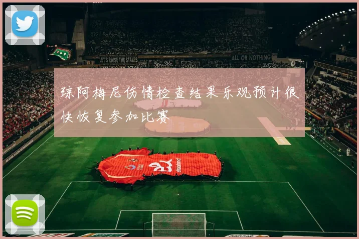 琼阿梅尼伤情检查结果乐观预计很快恢复参加比赛
