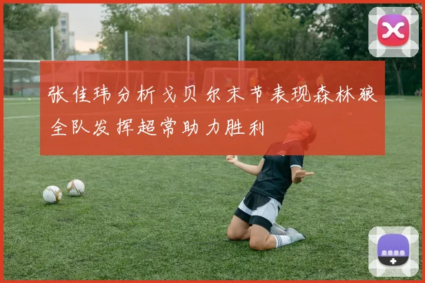 张佳玮分析戈贝尔末节表现森林狼全队发挥超常助力胜利