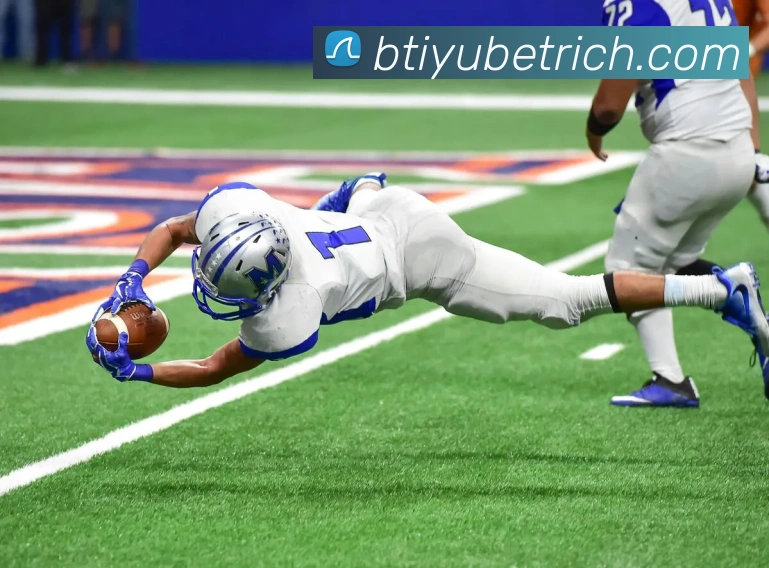 B体育平台生态图