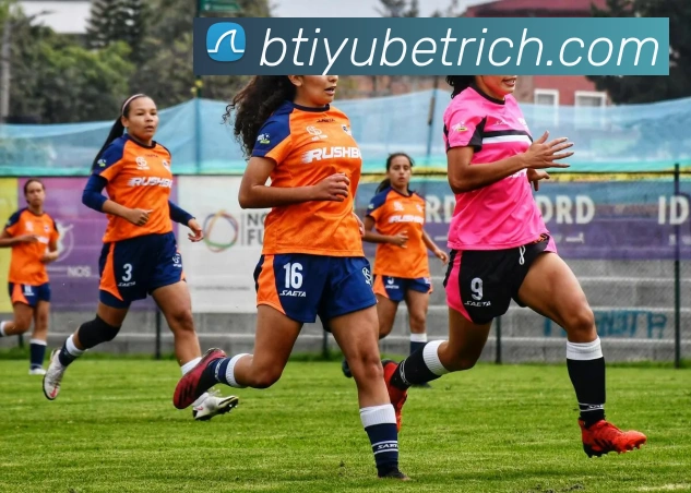 B体育APP 封面图